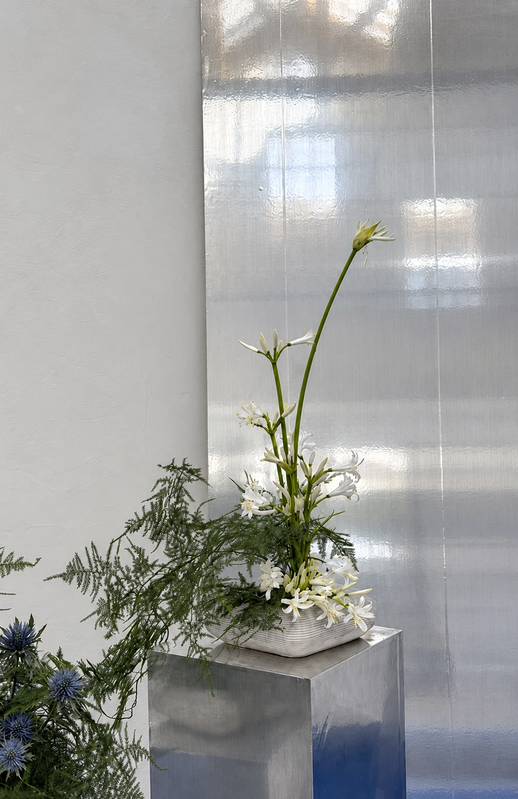 Composition minimaliste de fleurs blanches sur un socle transparent, dans un rayon de lumière