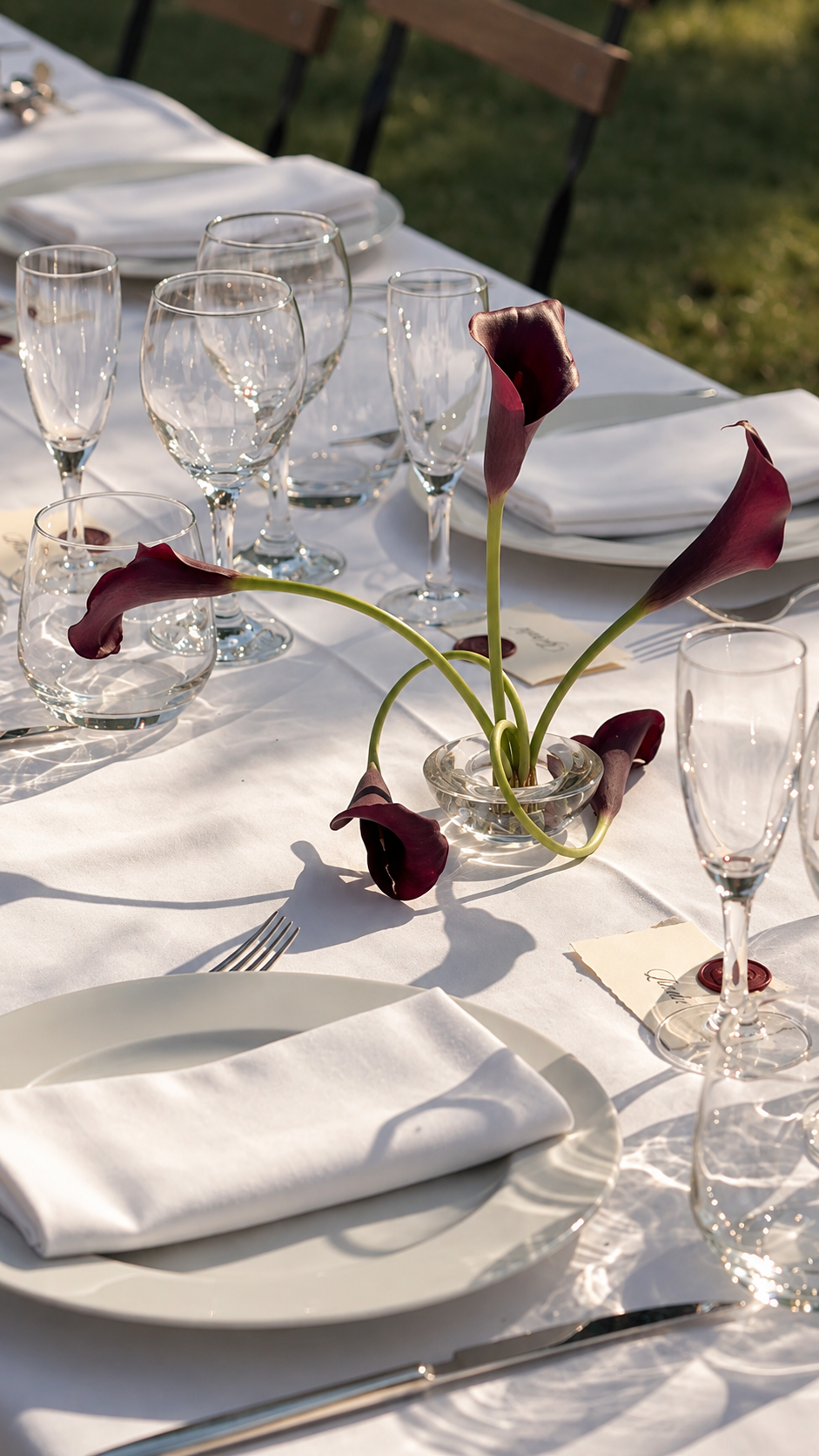 Arums bordeaux dans un vase transparent sur une table au soleil