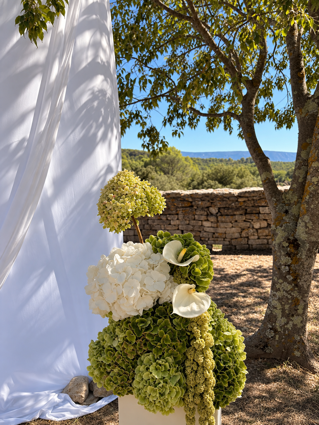 Composition blanche et verte avec hortensias sur un muret de pierre