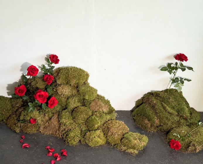 Relief sculptural de mousse verte traversé de fleurs rouges